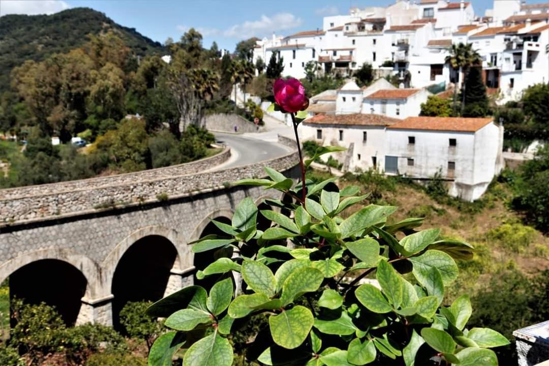 Casa Rural Sierras De Gaucinアパートメント エクステリア 写真